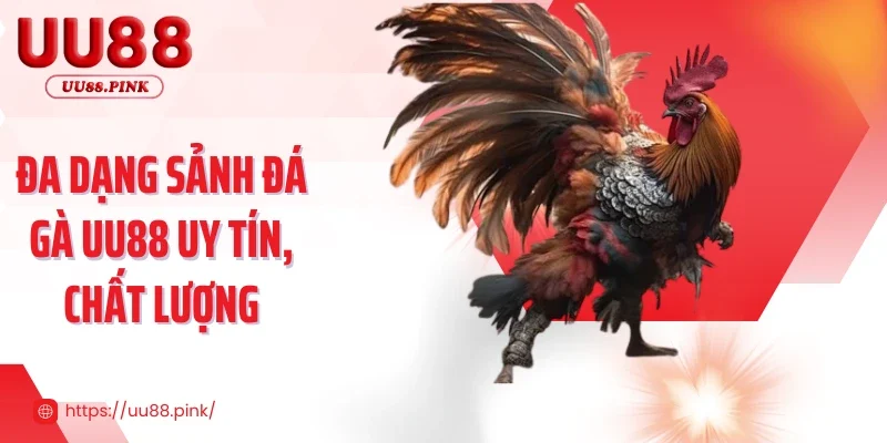 Đa dạng sảnh đá gà UU88 uy tín, chất lượng