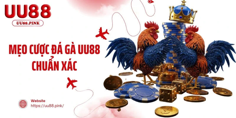 Mẹo Cược Đá Gà UU88 chuẩn Xác - Bí Quyết Nâng Cao Tỷ Lệ Thắng